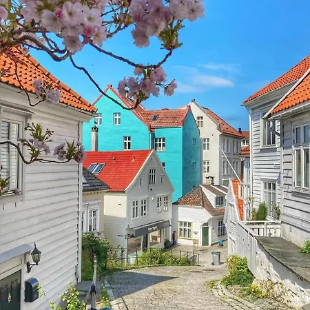 Dinbnb Homes I Historical 1850 House